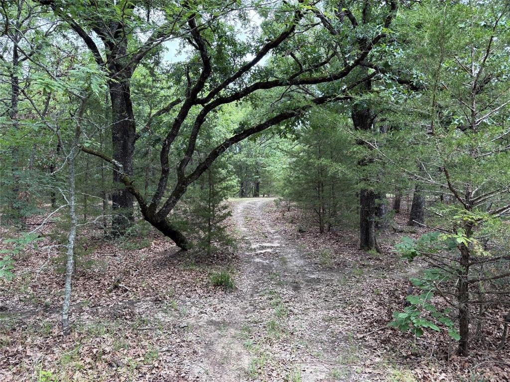 2212-2 County Road 4128 - Photo 23