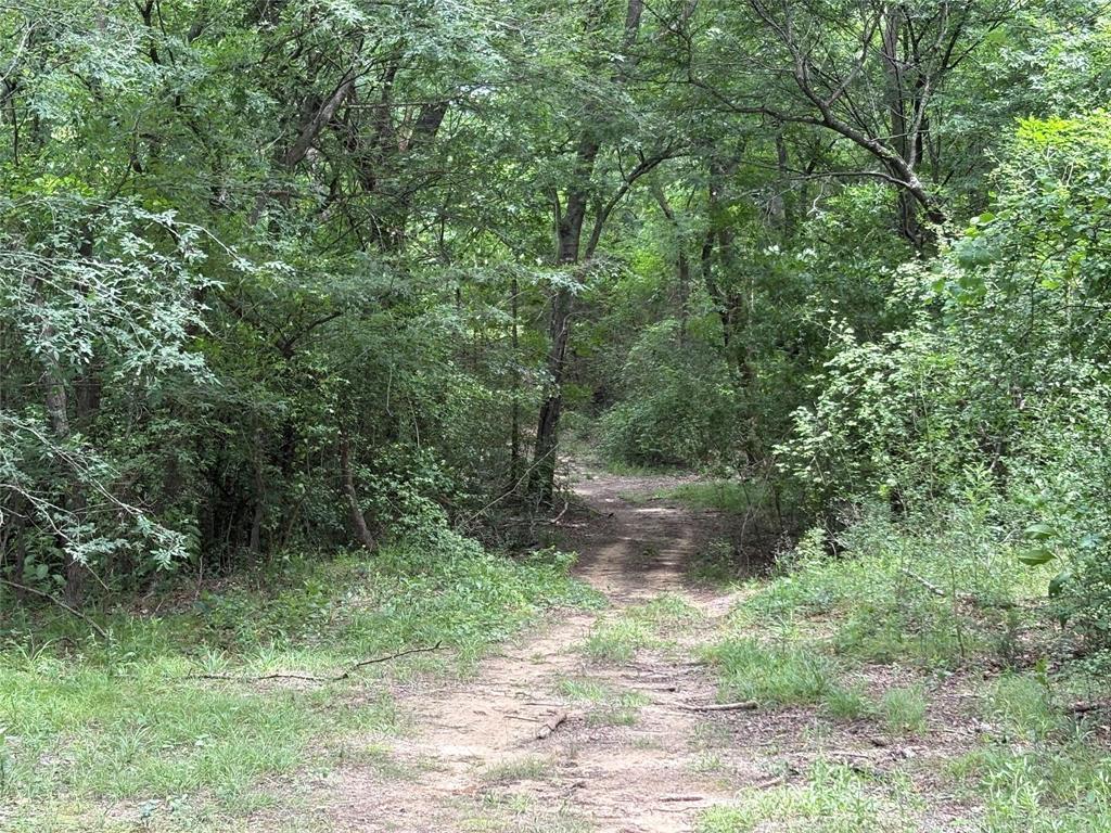 2212-2 County Road 4128 - Photo 3