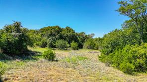 Lot 27 Redemption Drive - Photo 4