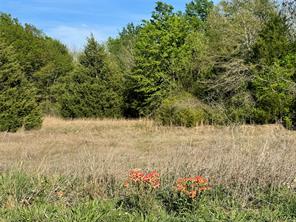 2377 FM 36 N - Photo 15