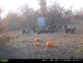 TBD County Road 309 - Photo 29