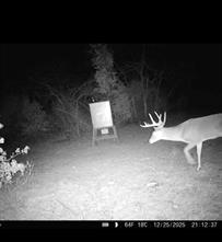 TBD County Road 309 - Photo 31