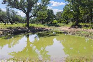 TBD County Road 309 - Photo 8