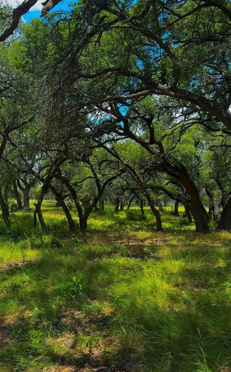 Lot 26 Swiss Ranch Rd - Photo 3