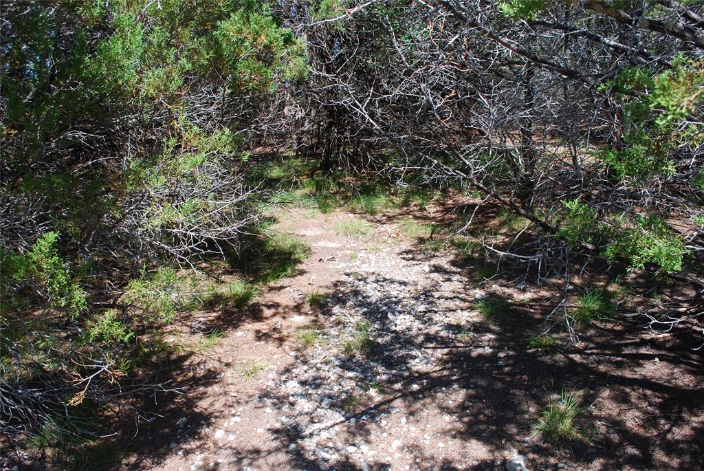 11030 Juniper Drive - Photo 1