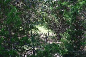 11030 Juniper Drive - Photo 3
