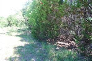 11030 Juniper Drive - Photo 4