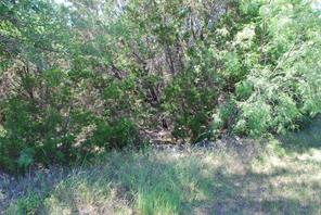 11030 Juniper Drive - Photo 8