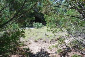 11030 Juniper Drive - Photo 9