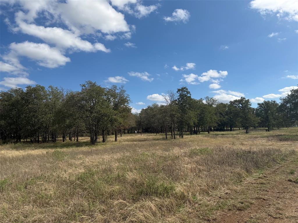 2663 Fm 1883 - Photo 13