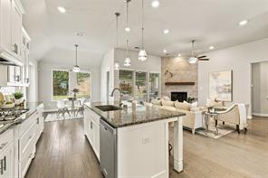 6641 Elderberry Way - Photo 3