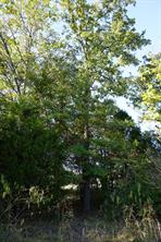 1688 Doc Holiday Dr - Photo 13