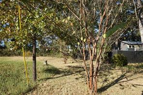 1688 Doc Holiday Dr - Photo 9