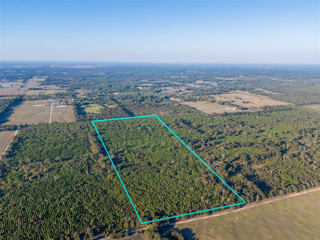 TBD S County Road 2242 - Photo 1