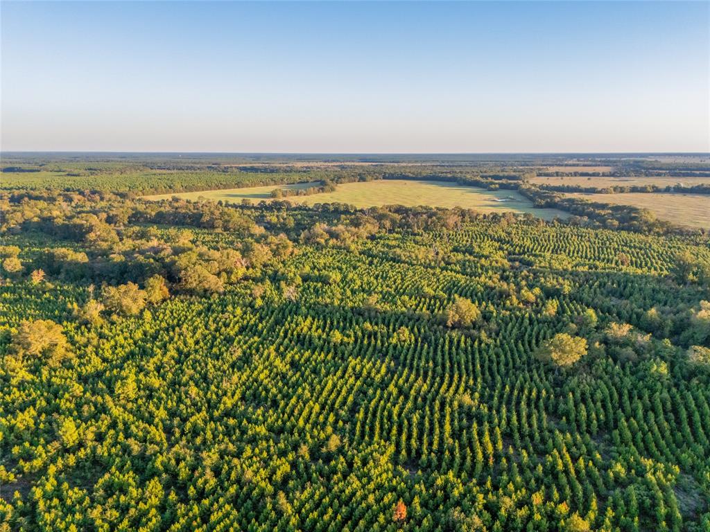 TBD S County Road 2242 - Photo 10