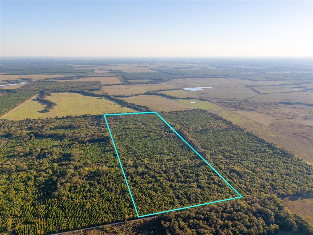 TBD S County Road 2242 - Photo 16