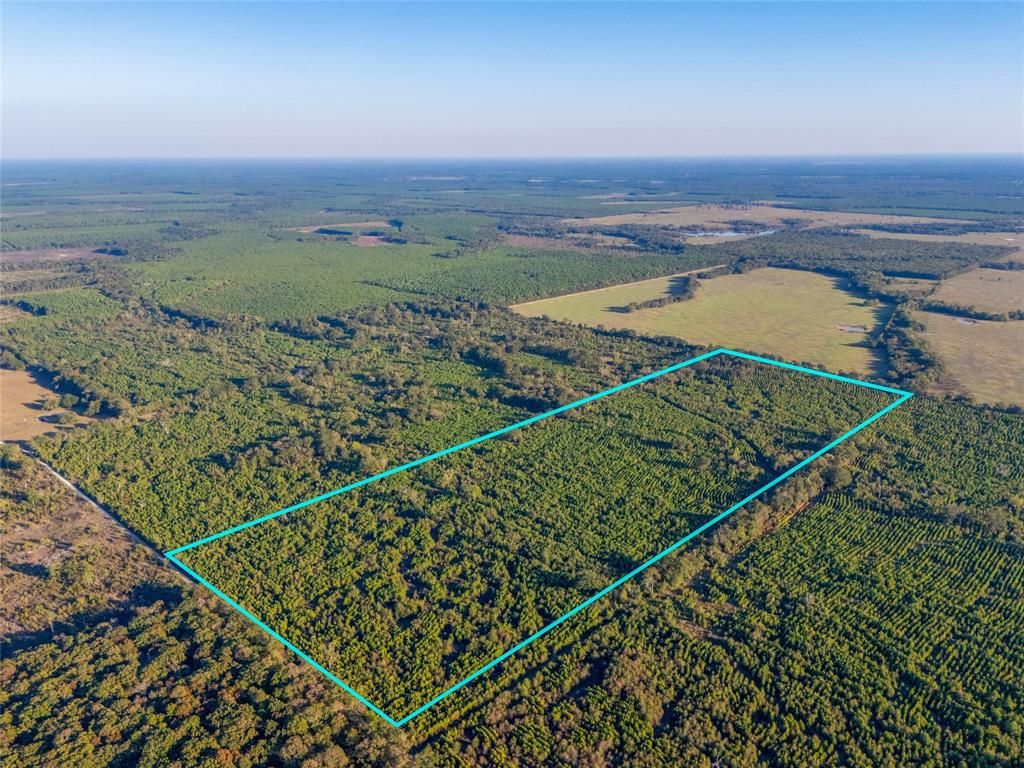 TBD S County Road 2242 - Photo 17