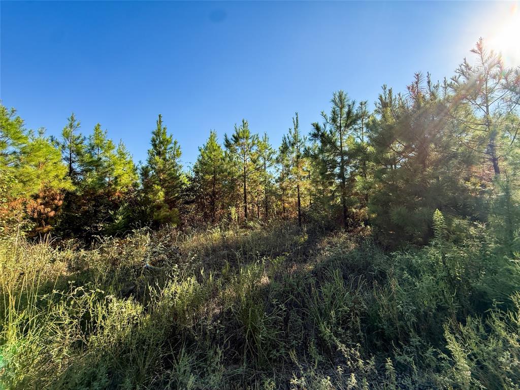 TBD S County Road 2242 - Photo 18