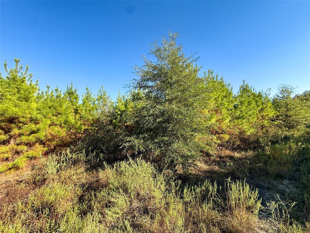 TBD S County Road 2242 - Photo 20
