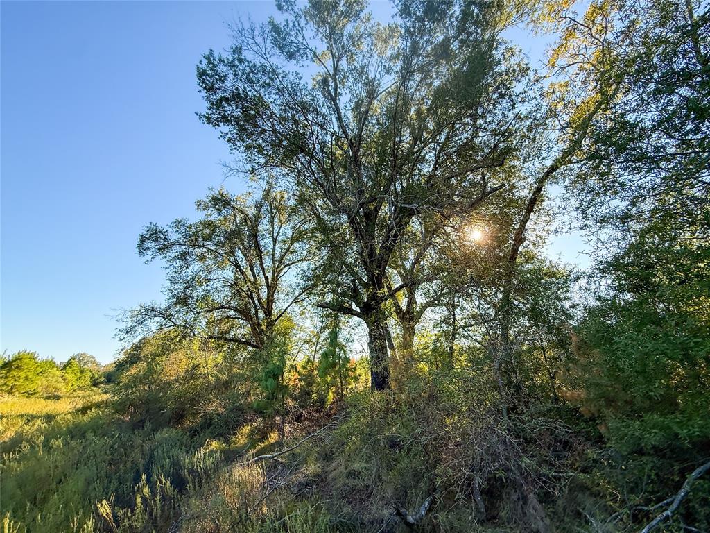 TBD S County Road 2242 - Photo 22