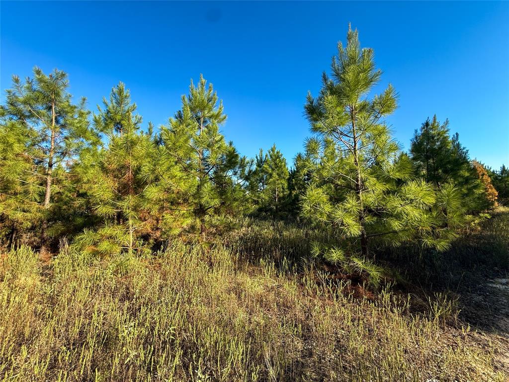 TBD S County Road 2242 - Photo 26
