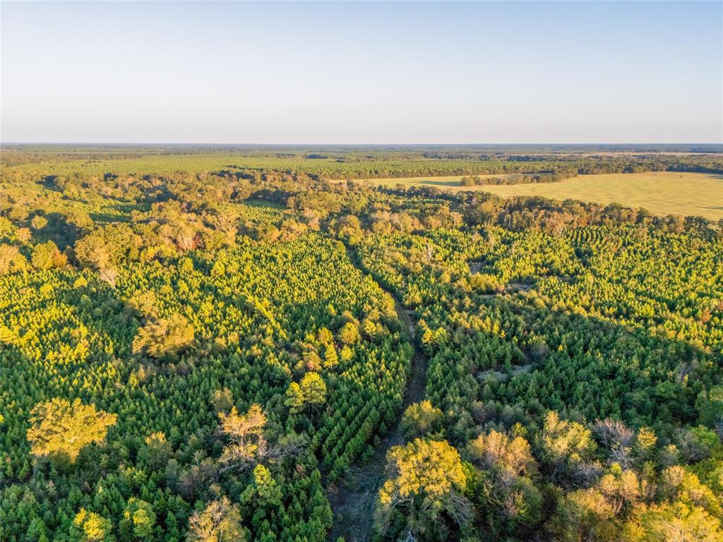 TBD S County Road 2242 - Photo 4