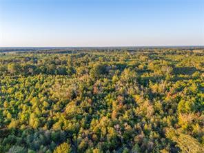TBD S County Road 2242 - Photo 10