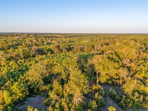 TBD S County Road 2242 - Photo 13