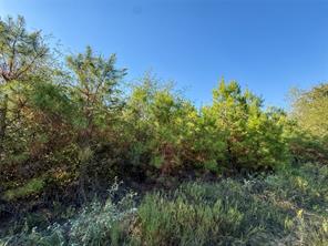 TBD S County Road 2242 - Photo 22