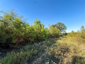 TBD S County Road 2242 - Photo 23