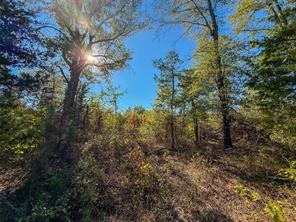 TBD S County Road 2242 - Photo 25