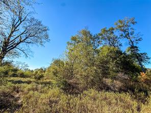 TBD S County Road 2242 - Photo 27