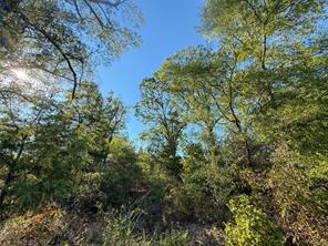 TBD S County Road 2242 - Photo 28
