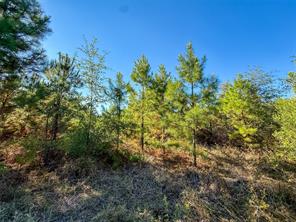 TBD S County Road 2242 - Photo 29
