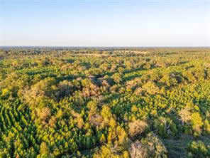 TBD S County Road 2242 - Photo 3