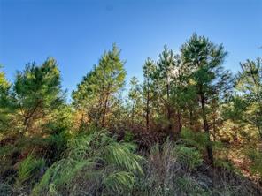 TBD S County Road 2242 - Photo 30