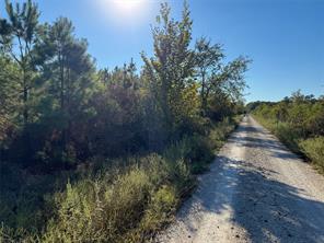 TBD S County Road 2242 - Photo 31
