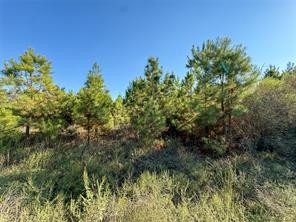 TBD S County Road 2242 - Photo 32