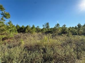 TBD S County Road 2242 - Photo 33