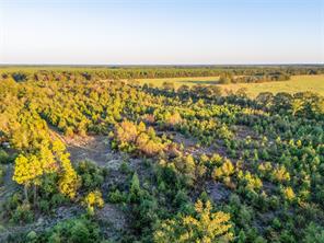TBD S County Road 2242 - Photo 9