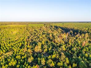 TBD S County Road 2242 - Photo 11