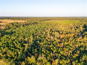 TBD S County Road 2242 - Photo 13