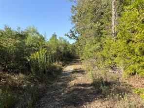 TBD S County Road 2242 - Photo 15