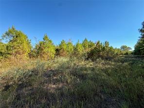 TBD S County Road 2242 - Photo 16
