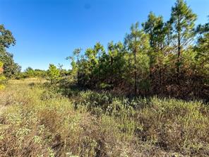 TBD S County Road 2242 - Photo 17