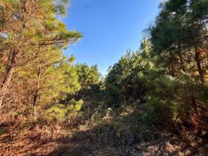 TBD S County Road 2242 - Photo 18