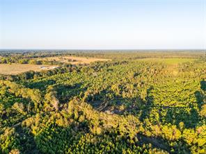 TBD S County Road 2242 - Photo 2