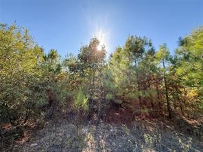 TBD S County Road 2242 - Photo 20