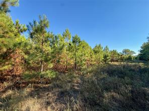 TBD S County Road 2242 - Photo 21