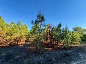 TBD S County Road 2242 - Photo 22
